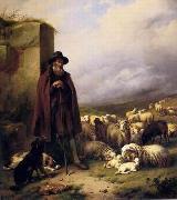 unknow artist Sheep 176 oil painting picture wholesale